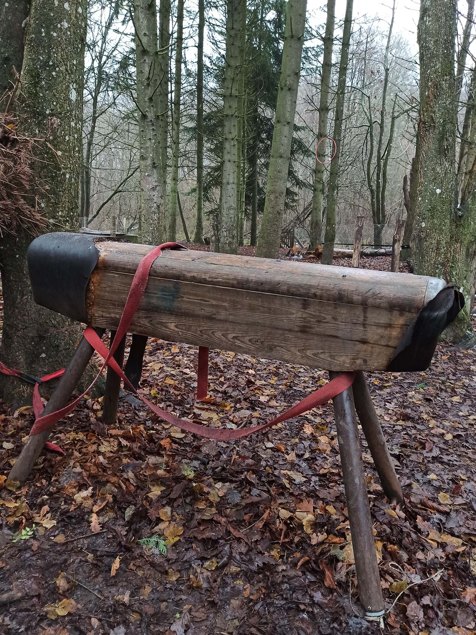 Gymnastic pommel horse