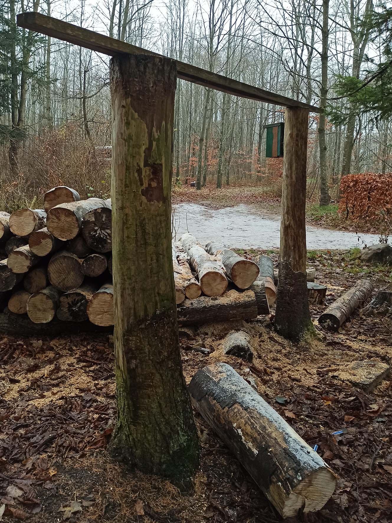Logs and woodcutting station