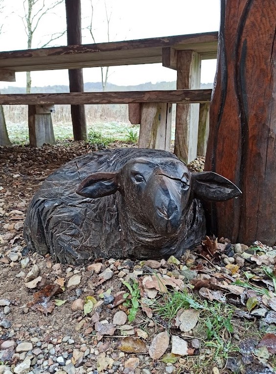 Wooden Sheep sculpture